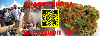 марихуана Новозыбков