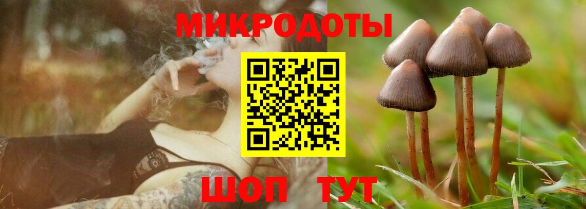Псилоцибиновые грибы GOLDEN TEACHER  Вход с VPN  Обнинск 